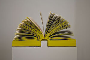 Vue de l’exposition Volumes : Irma Boom